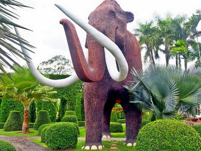 Nong Nooch Tropical Botanical Garden Admission Tickets