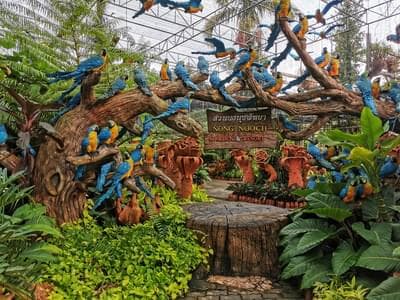 Nong Nooch Tropical Botanical Garden Admission Tickets